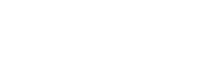 Terzo Logo